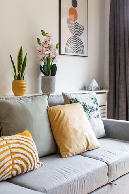 Best City Centre Luxurious Home Free Parking Belfast Exteriör bild